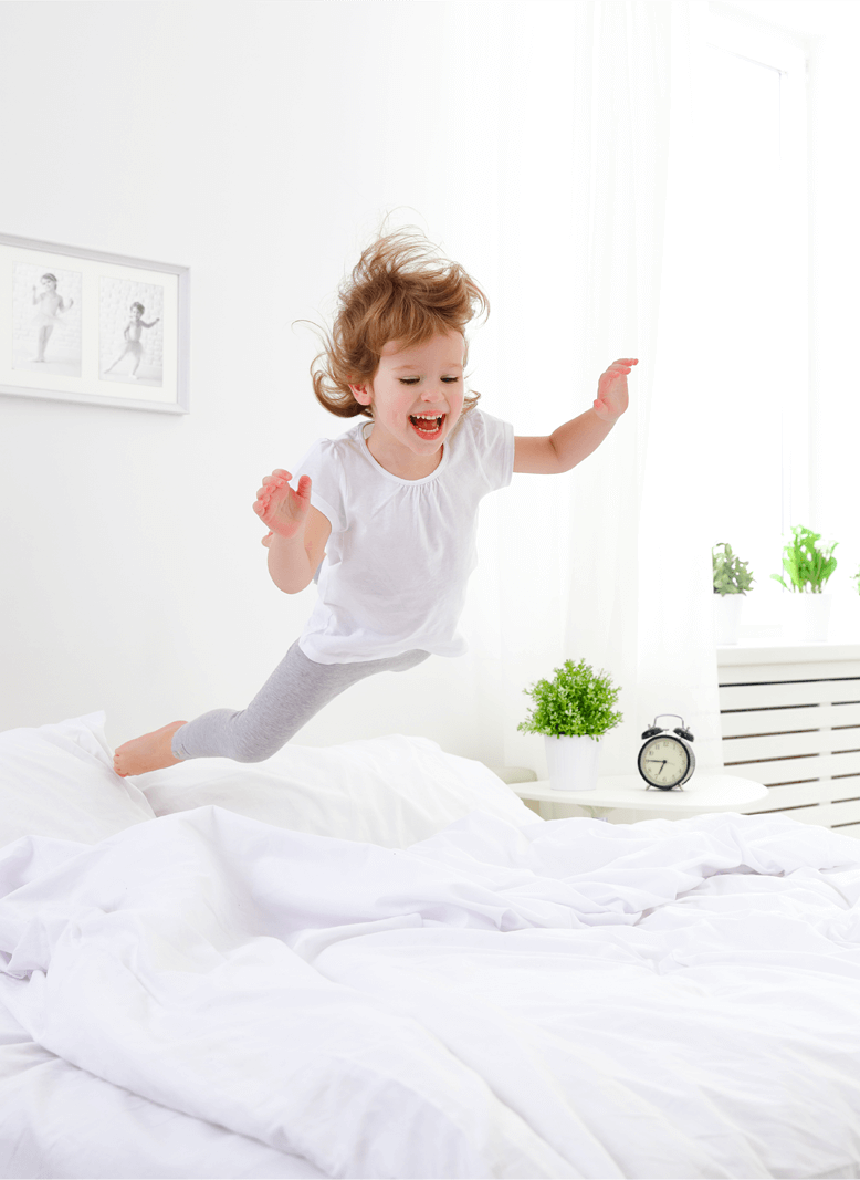 Dormio Organic Beds | About Details